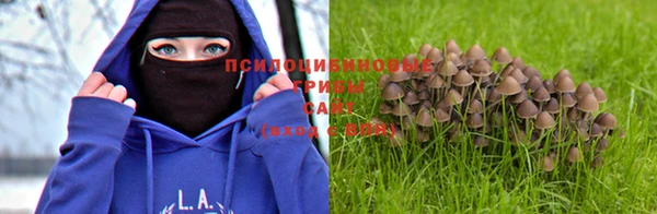 spice Абдулино