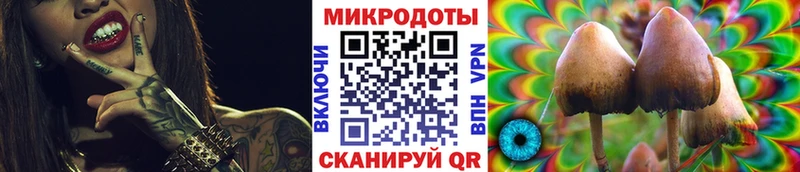 продажа наркотиков  Карталы  Псилоцибиновые грибы Psilocybe 