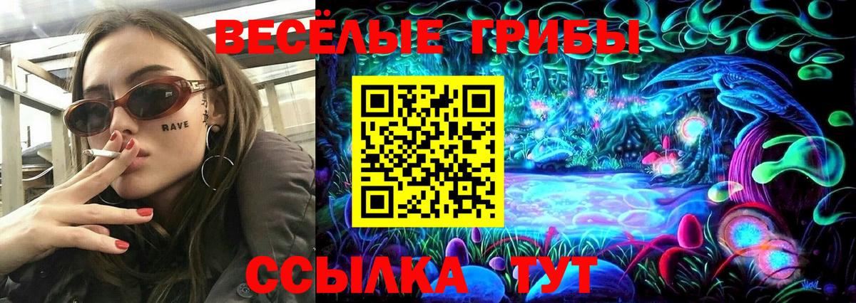 Псилоцибиновые грибы Cubensis  Вход с VPN  Карталы 
