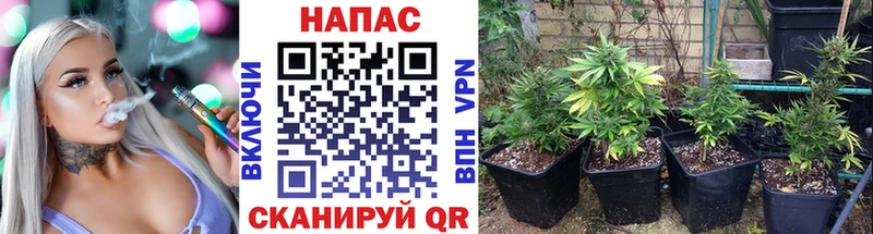 как найти наркотики  МЕГА сайт  Шишки марихуана гибрид  Карталы 